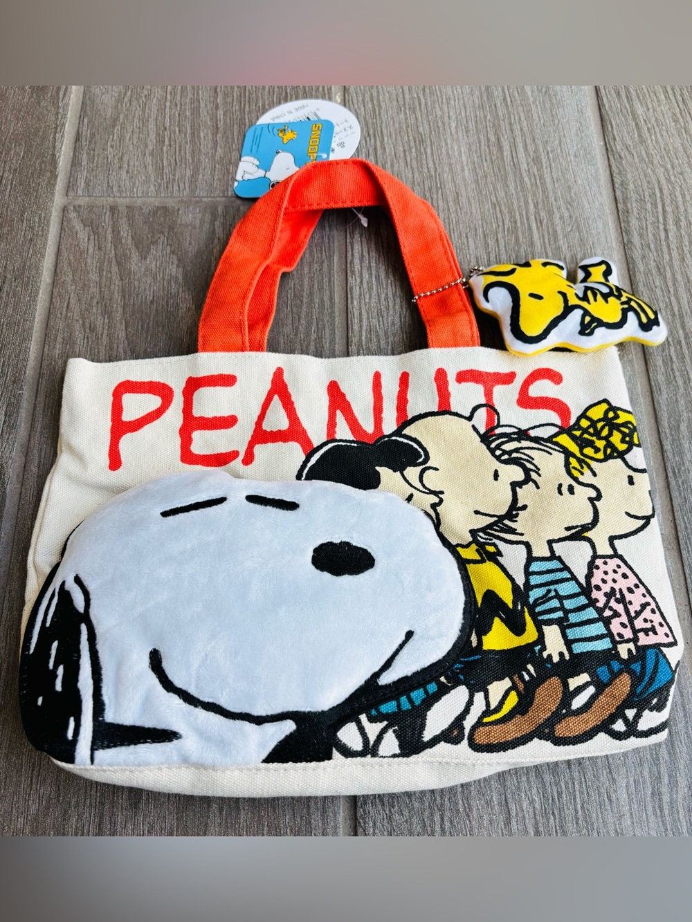 Snoopy Peanuts Multicolor Lined Small Tote Bag 11”x8”x3”